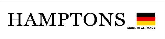 hamptons logo w flag